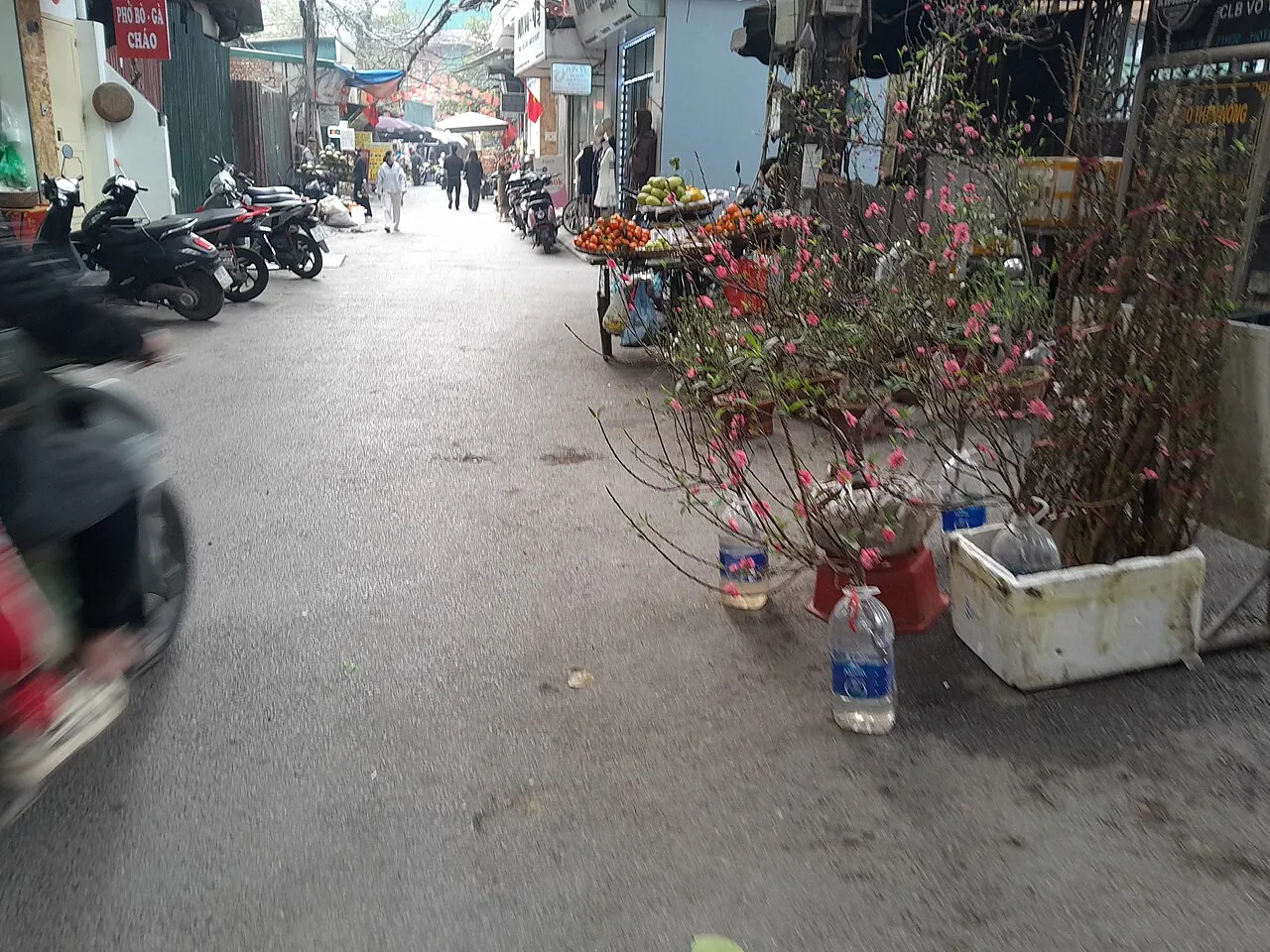 Branches de pêcher en fleurs roses posées dans des seaux et des caissons au bord d'une rue commerçante, avec des scooters garés et un étal de fruits