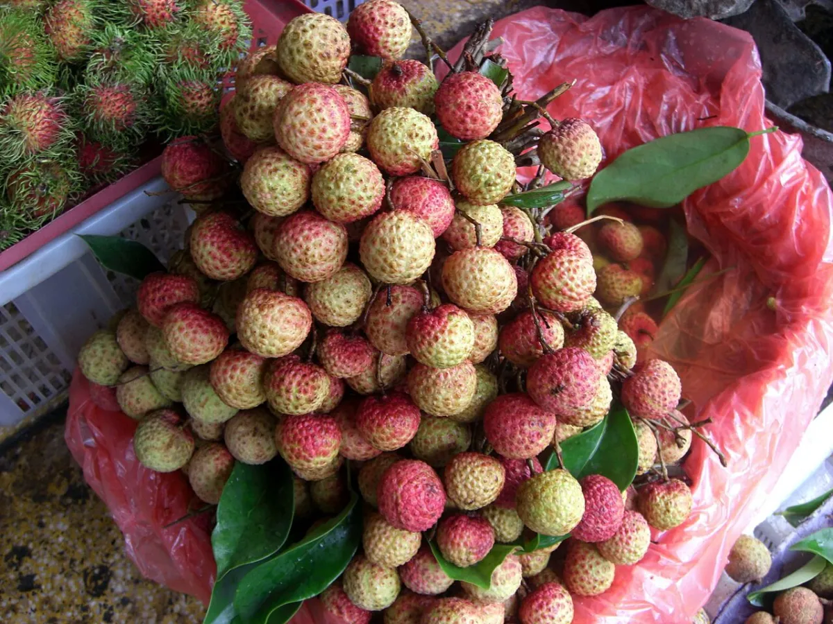 Litchis et ramboutans sur un marché vietnamien